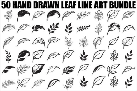 Hand Drawn Leaf Line Art: A Modern Designer's Toolkit
